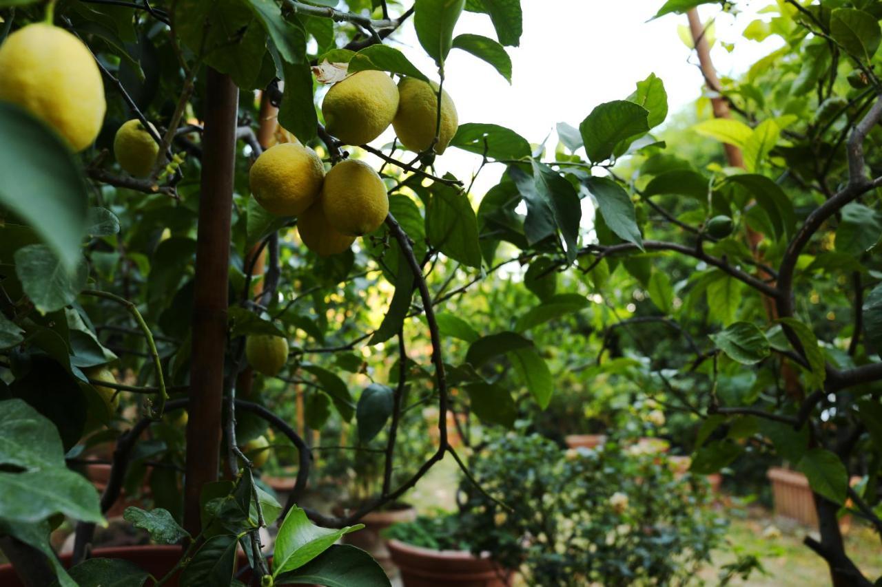 Relais Casamassima Villa Perugia Eksteriør bilde
